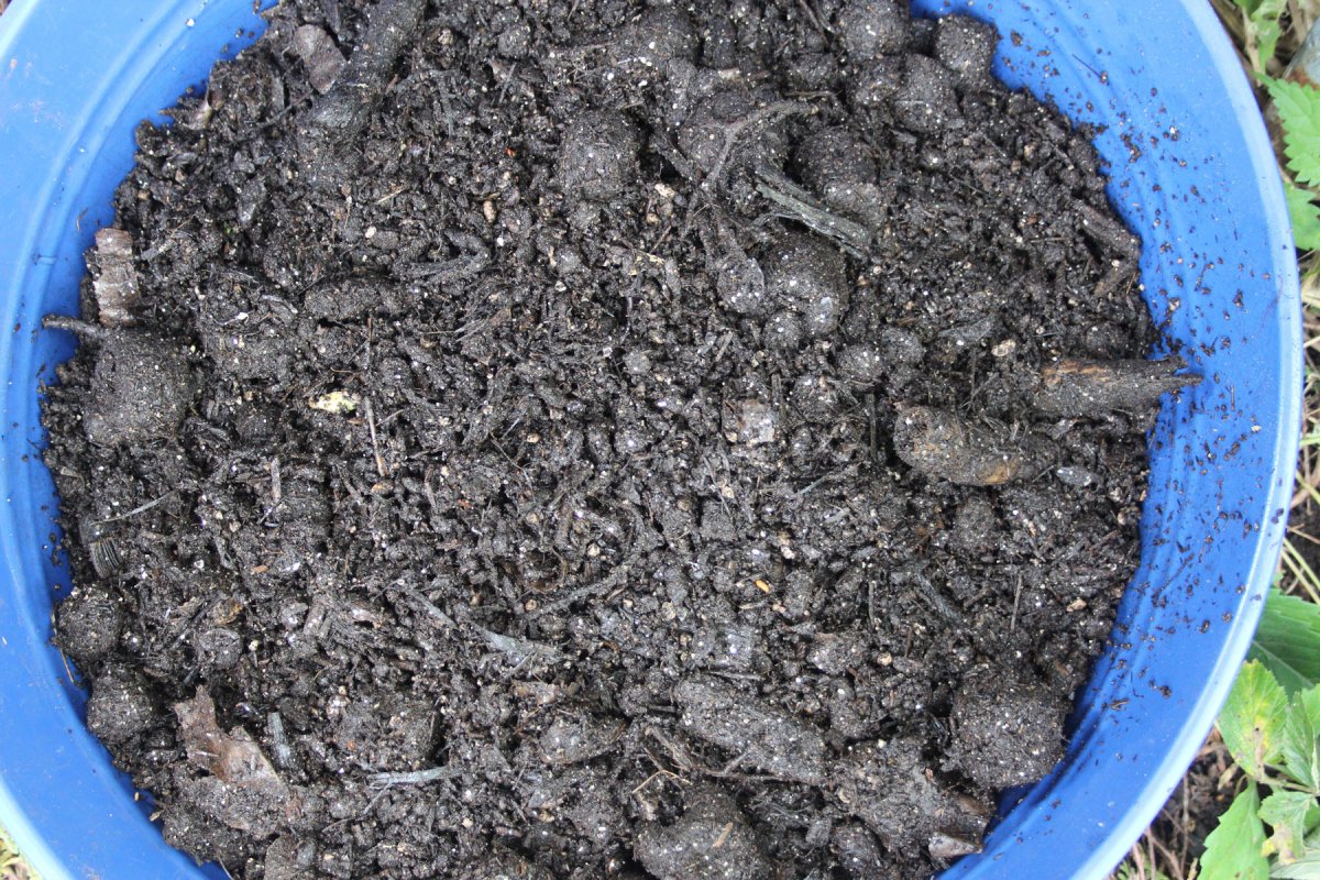 The compost as it comes out of the tumbler