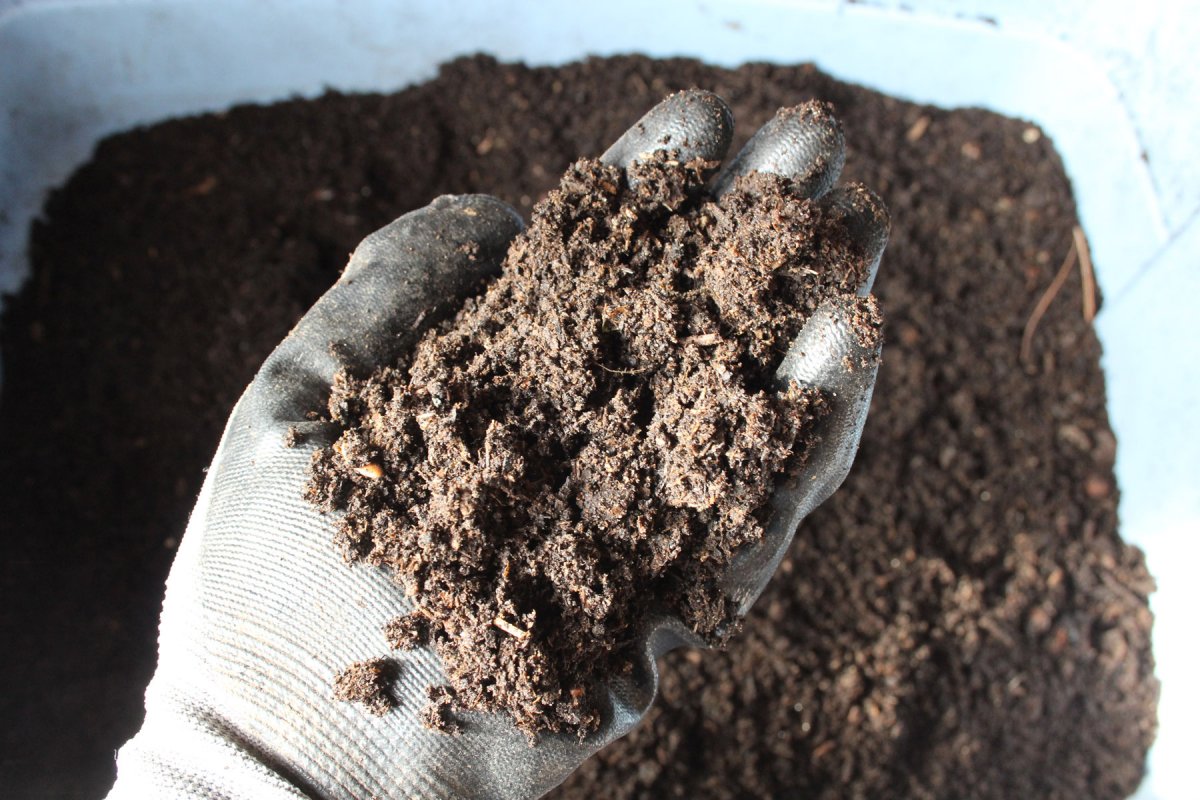 The finished compost, screened through 1/2" wire mesh