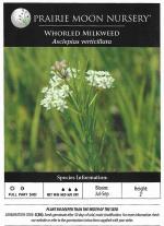 Asclepias verticillata, Whorled Milkweed