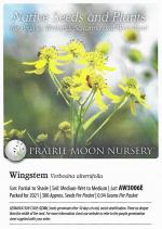 Verbesina alternifolia, Wingstem 