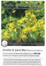 Hypericum prolificum, Shrubby St. John's Wort 
