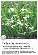Galium boreale, Northern Bedstraw  